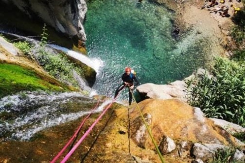 a bird standing on a rocky hill