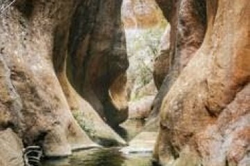 a giraffe standing next to a river