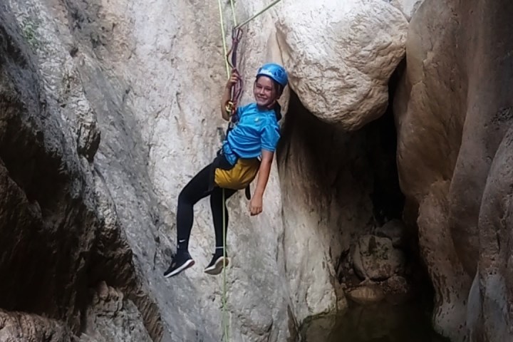 a bird standing on a rock