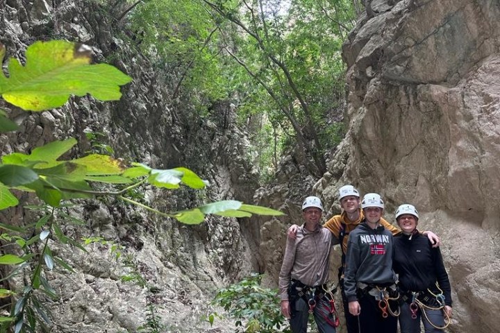 a group of people standing next to a tree
