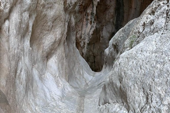 a close up of a rock