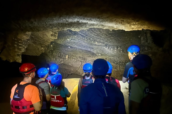 a group of people wearing costumes