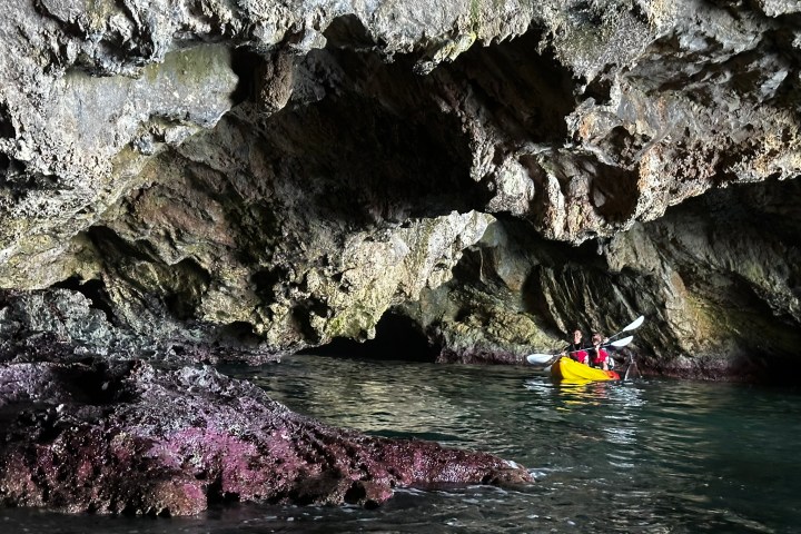 a group of people swimming in the water