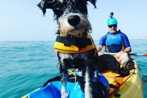 a person and a dog on a boat in the water