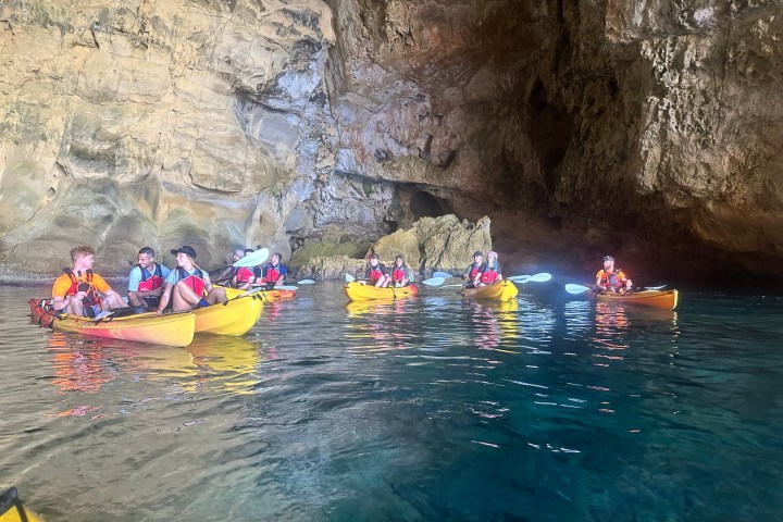 a group of people swimming in the water