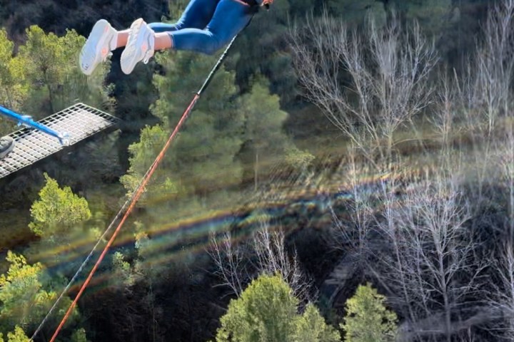 a person flying a kite in a forest