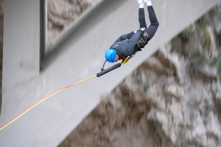 a bird sitting on top of a building
