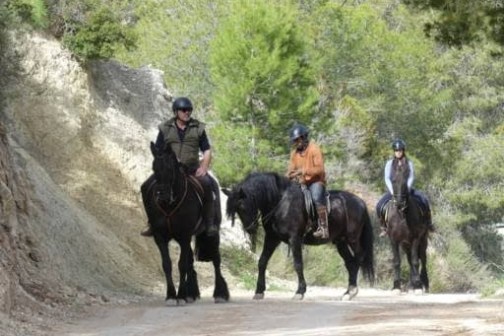 a group of people riding on the back of a horse