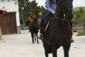 a person riding a horse