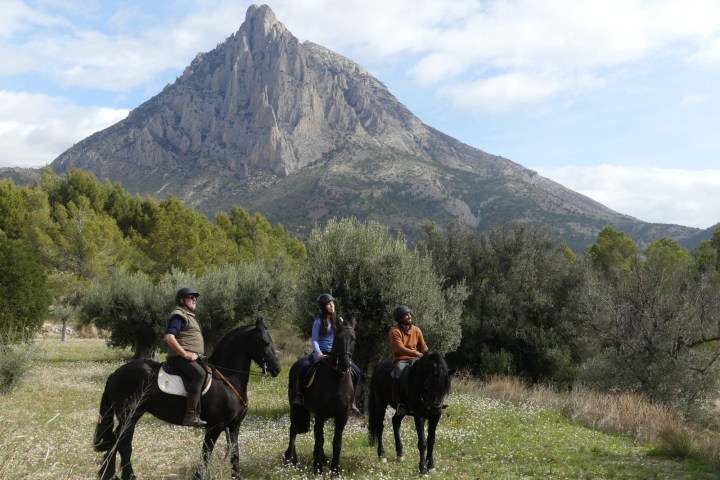 a man riding a horse in a field with a mountain in the background