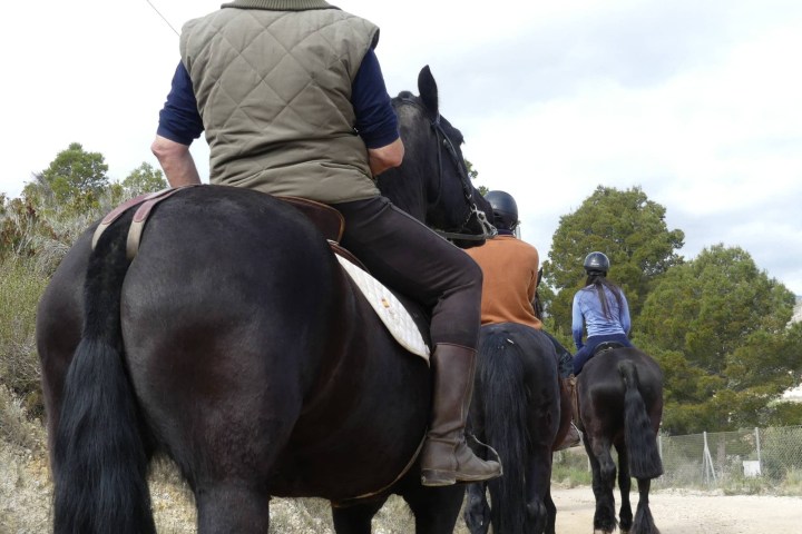 a person riding a horse