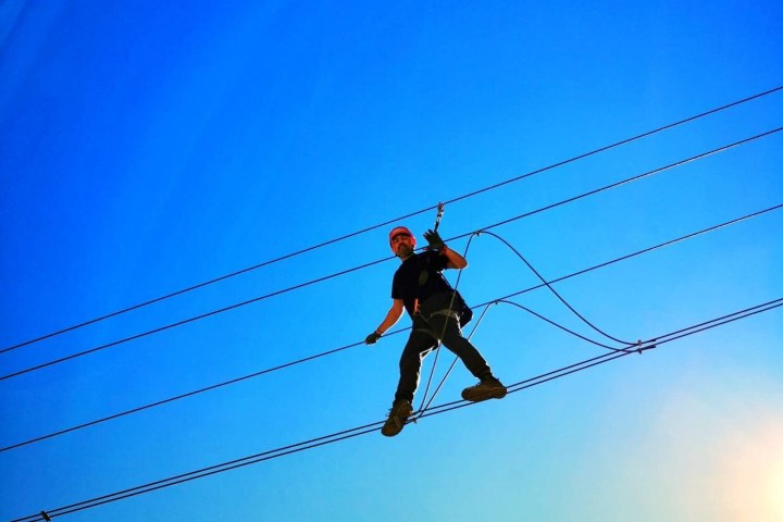 a flock of birds sitting on top of a pole