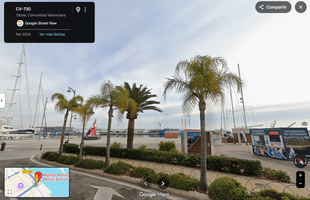 Palm trees near a marina with yachts and catamaran excursion signs, cloudy sky.