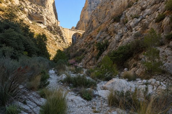 Sendero de acceso al puente del Mascarat a través del Barranc Salat.