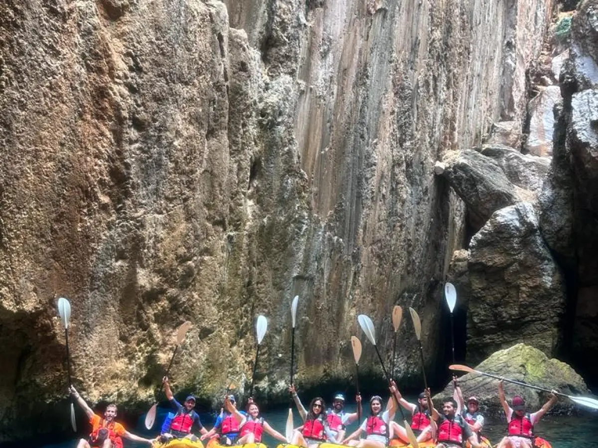 a group of people swimming in a body of water