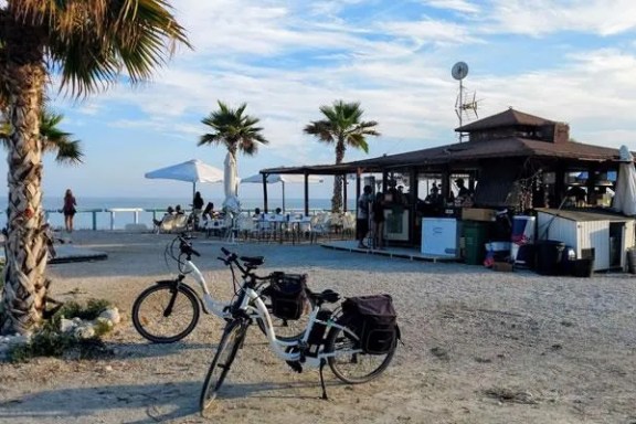a bicycle is parked next to a palm tree in front of a beach