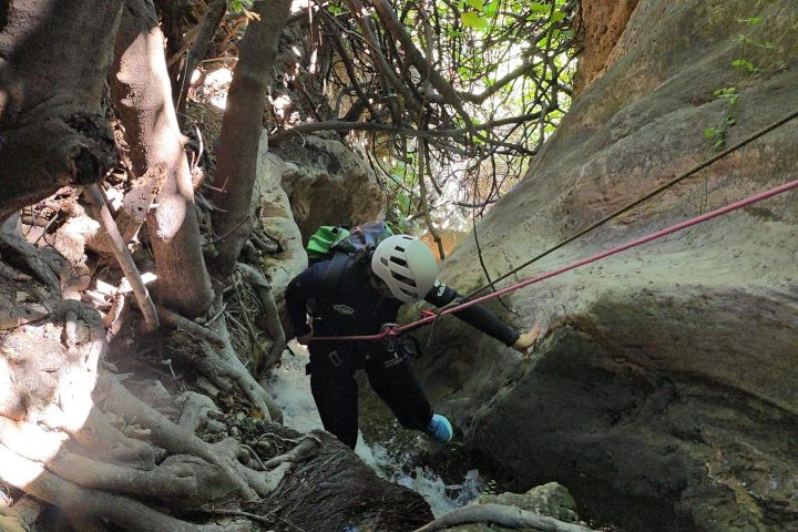a person sitting on a rock next to a tree