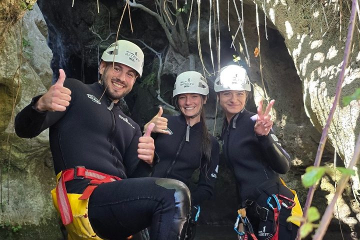 a group of people standing next to a tree