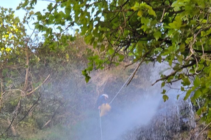a large waterfall in a forest