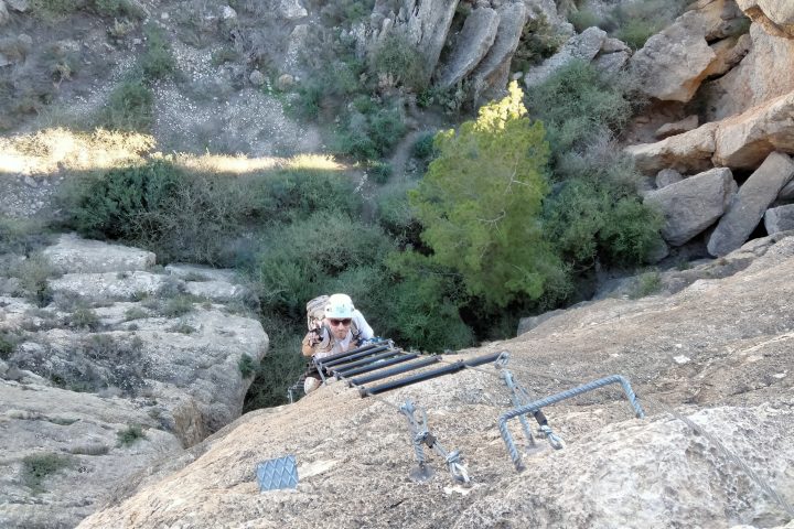 a close up of a rock