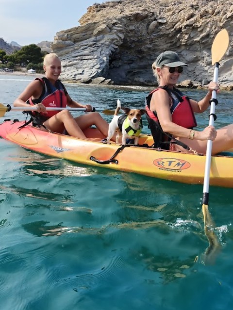 Two people and a small dog kayaking near rocky shore, under clear sky.