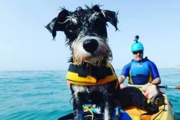 Perro con chaleco salvavidas durante la excursión en kayak por Villajoyosa